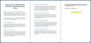 Essential Business Writing Skills - Opt In Blog 1