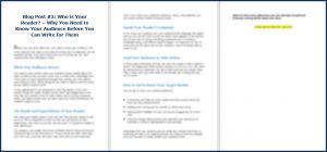 Essential Business Writing Skills - Opt In Blog 2