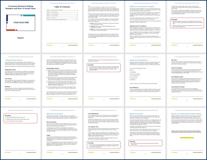 Essential Business Writing Skills - Opt In Report