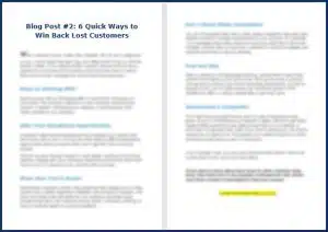 Keep Your Customers For Life - Opt In Blog 2