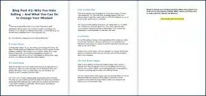 Sales Skills - Blog Post #2