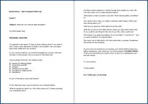 Sales Skills - Opt In Email #2