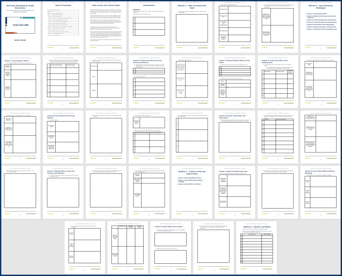 Fast Cash Strategies - Action Guide