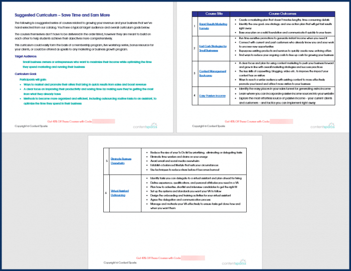 Fast Cash Strategies - Save Time and Earn More Curriculum