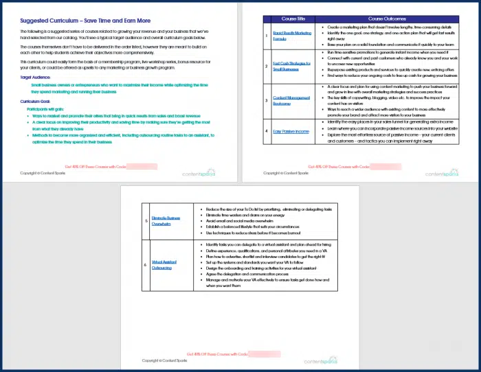 Fast Cash Strategies - Save Time and Earn More Curriculum