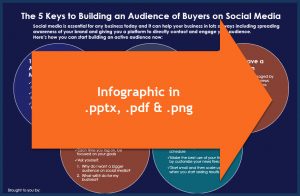 Build Your Audience Using Social Media - OptIn Infographic