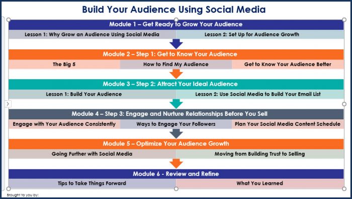 Build Your Audience Using Social Media - Overview Infographic