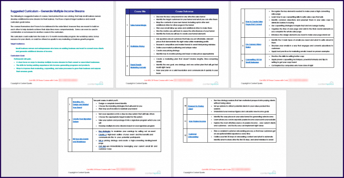 Create Your Group Coaching Program - Generate Multiple Income Streams Curriculum