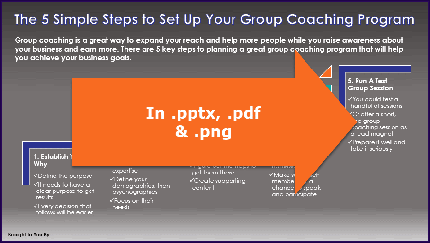 The 5 Simple Steps to Set Up Your Group Coaching Program PLR Report