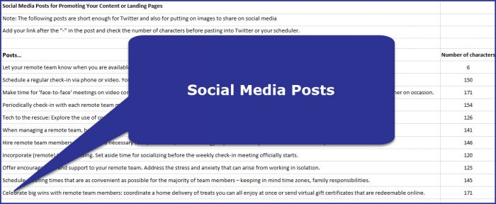 Managing Remote Teams - Social Media Posts