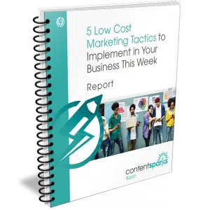 LowCostMktg Flash3D