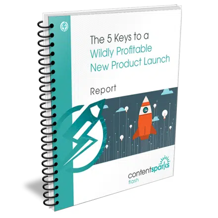 The 5 Keys to a Wildly Profitable New Product Launch