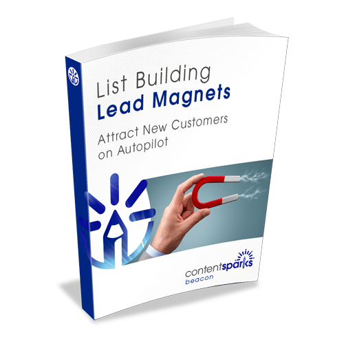 Lead Magnet 3d