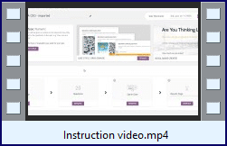 Think Like A CEO Ex Pack - Bonus Thrive Quiz Instruction Video