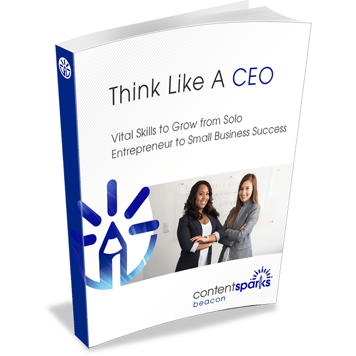 ThinkLikeACEO eCover3D
