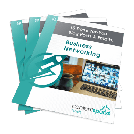 BusinessNetworkingBlogPEmails Flash3D