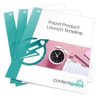 Rapid Product Launch Timeline
