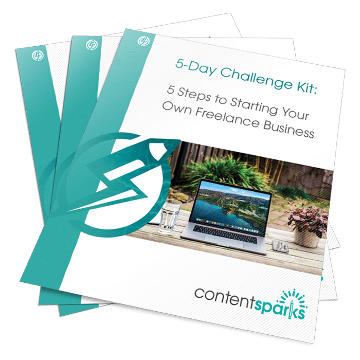 FreelanceBiz Challenge3D