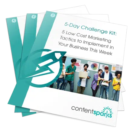 Low-Cost Marketing Tactics to Implement in Your Business This Week – 5-Day Challenge Kit