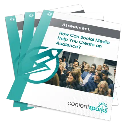 Assessment: How Can Social Media Help You Create an Audience?