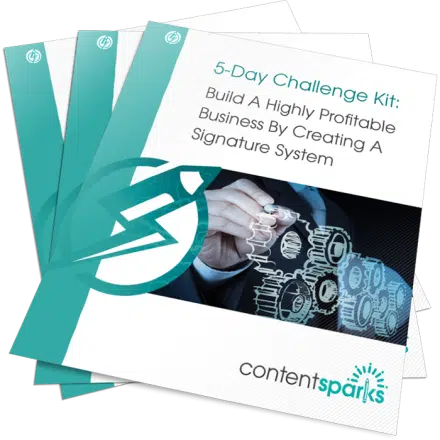 Build A Highly Profitable Business By Creating A Signature System – Challenge Kit