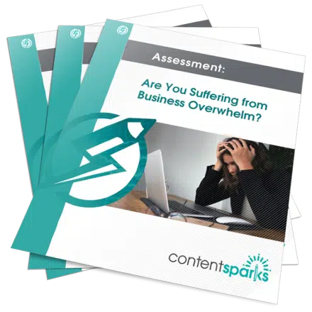 Assessment: Are You Suffering from Business Overwhelm?