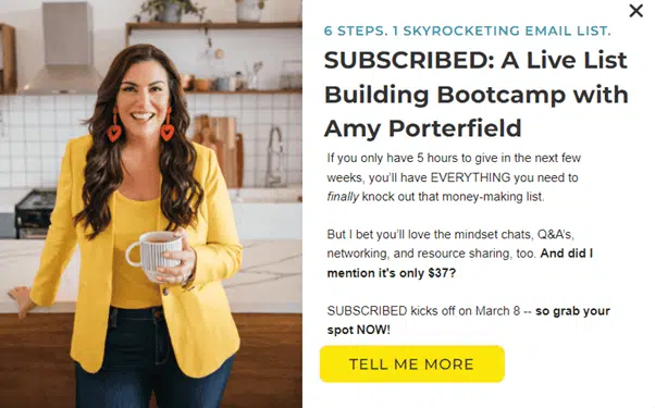 Amy Porterfield - Pre-Sell Your Course