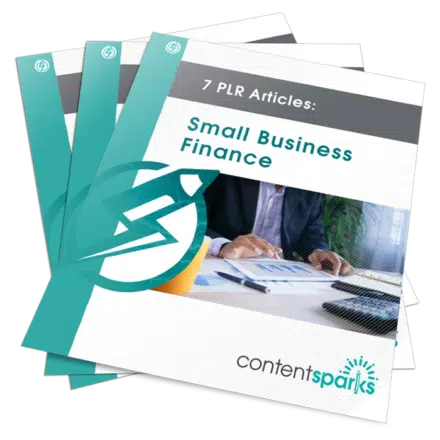 Small Business Finance Skills – 7 PLR Articles w/Lead Magnets