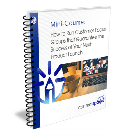 How to Run Customer Focus Groups PLR course