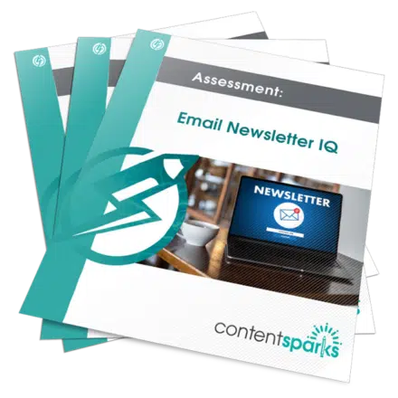 Email Newsletter IQ PLR Assessment