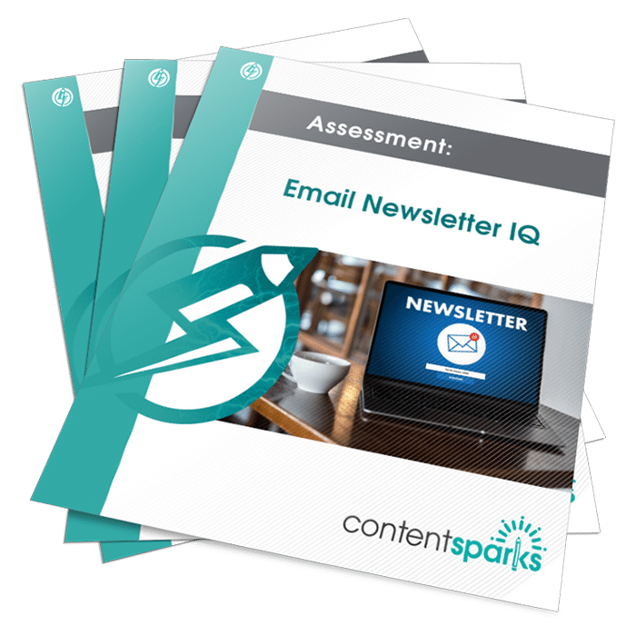 Email Newsletter IQ PLR Assessment