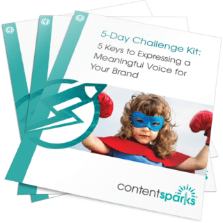 Brand Voice PLR Challenge Kit