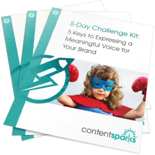 Brand Voice PLR Challenge Kit