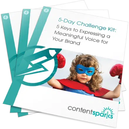 Brand Voice PLR Challenge Kit