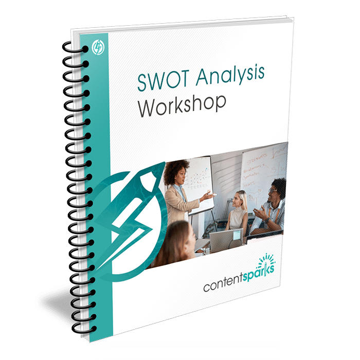 SWOT Analysis PLR Workshop