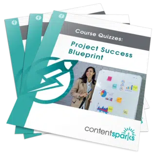 Project Success PLR Quizzes