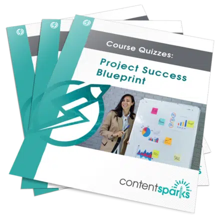 Project Success PLR Quizzes