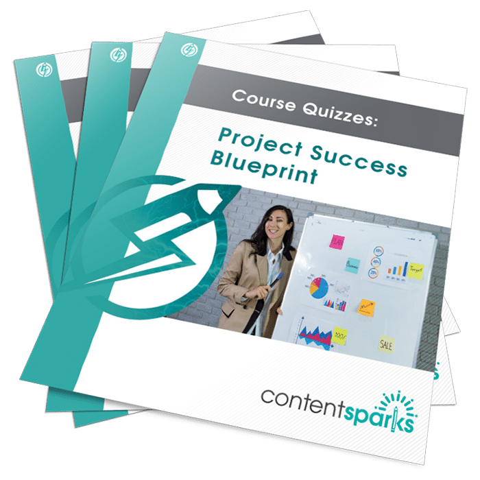 Project Success PLR Quizzes