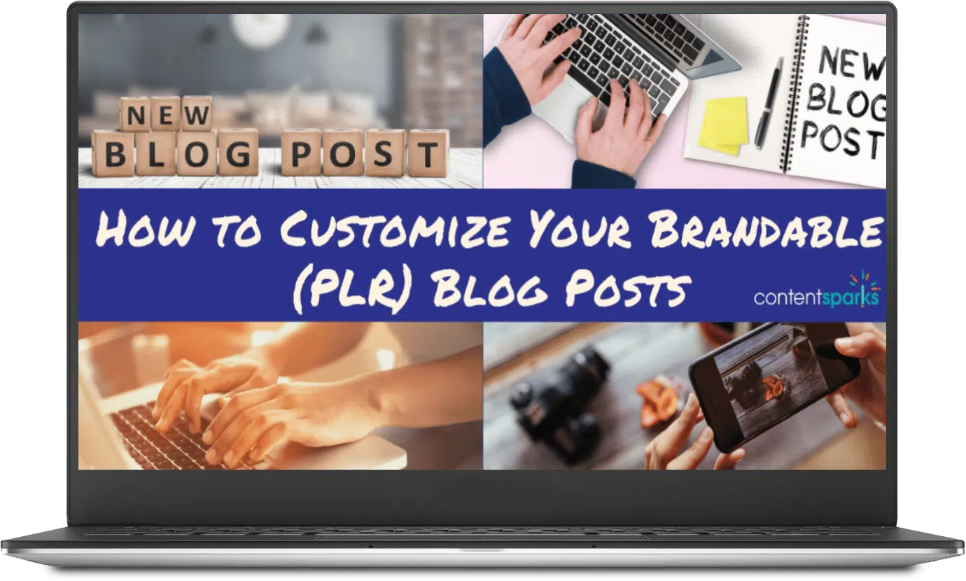 Customize Your PLR Blog Posts Checklist