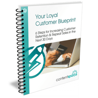 Your Loyal Customer Blueprint - PLR Planner