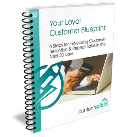 Your Loyal Customer Blueprint - PLR Planner