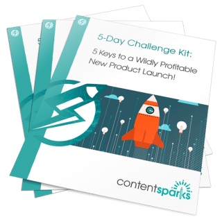 The 5 Keys to a Wildly Profitable New Product Launch - 5-Day Challenge Kit