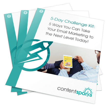 Email Marketing PLR Challenge Kit