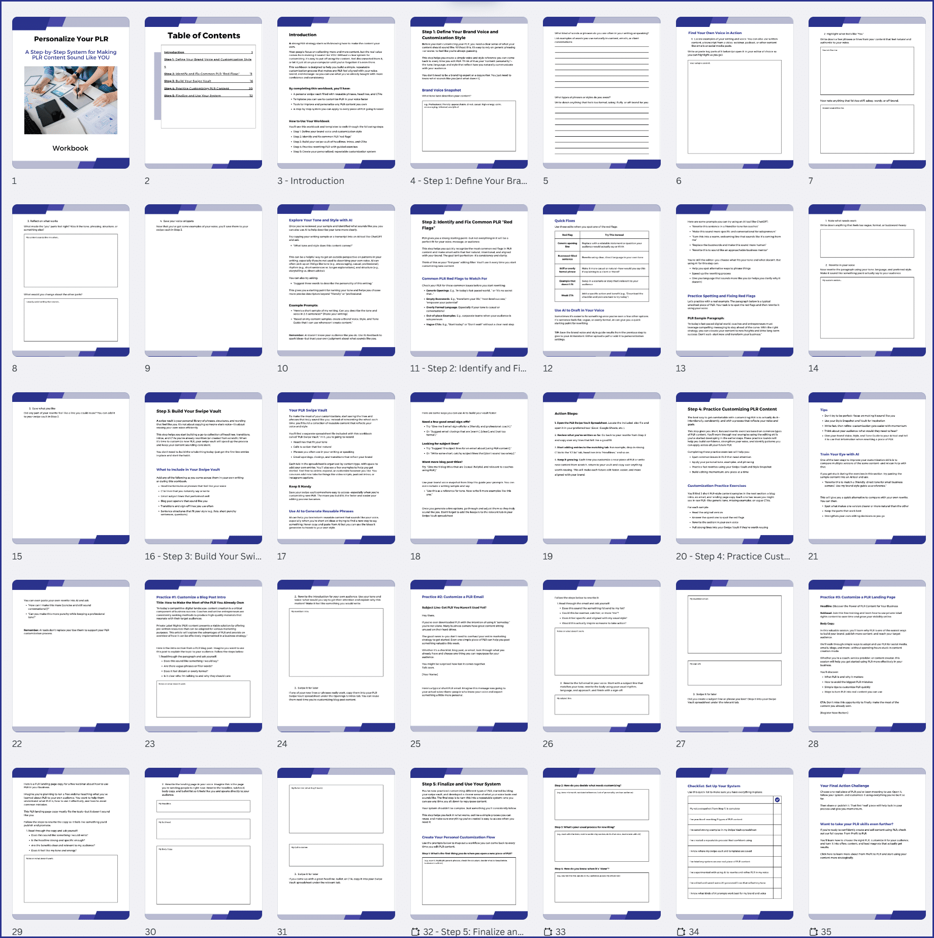 PLRPersonalization_workbook Personalize Your PLR Workbook
