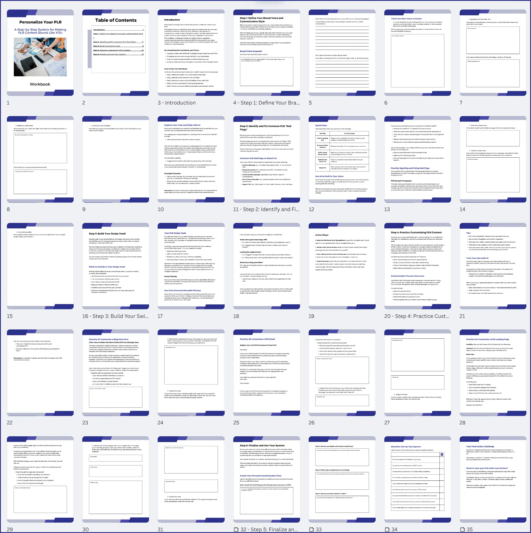 Personalize Your PLR Workbook