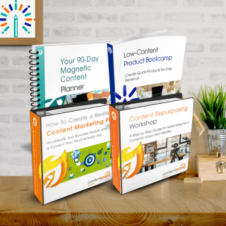 Use PLR Upsell Bundle