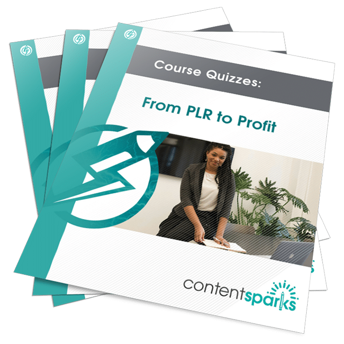 UsePLRQuizzes_eCover3D From PLR to Profit PLR Course Quizzes