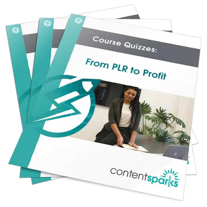 UsePLRQuizzes_eCover3D From PLR to Profit PLR Course Quizzes