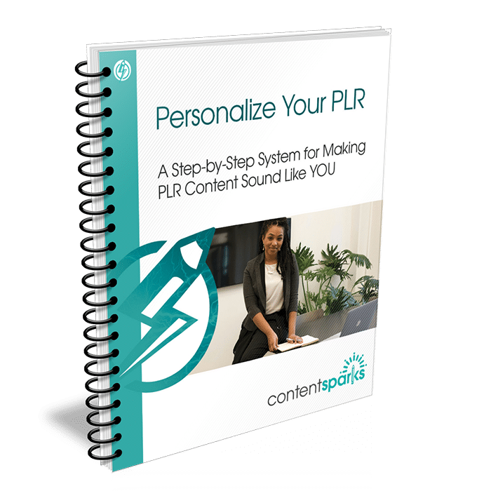 UsePLRWorkbook_eCover3D Personalize Your PLR