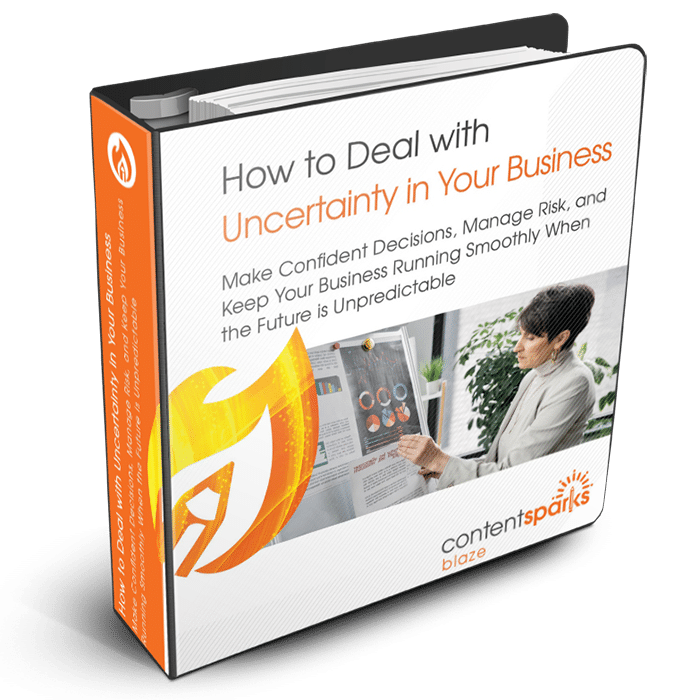 Uncertainty_Blaze3D How to Deal with Uncertainty in Your Business PLR Course